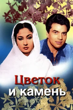 Фильм Цветок и камень (1966)